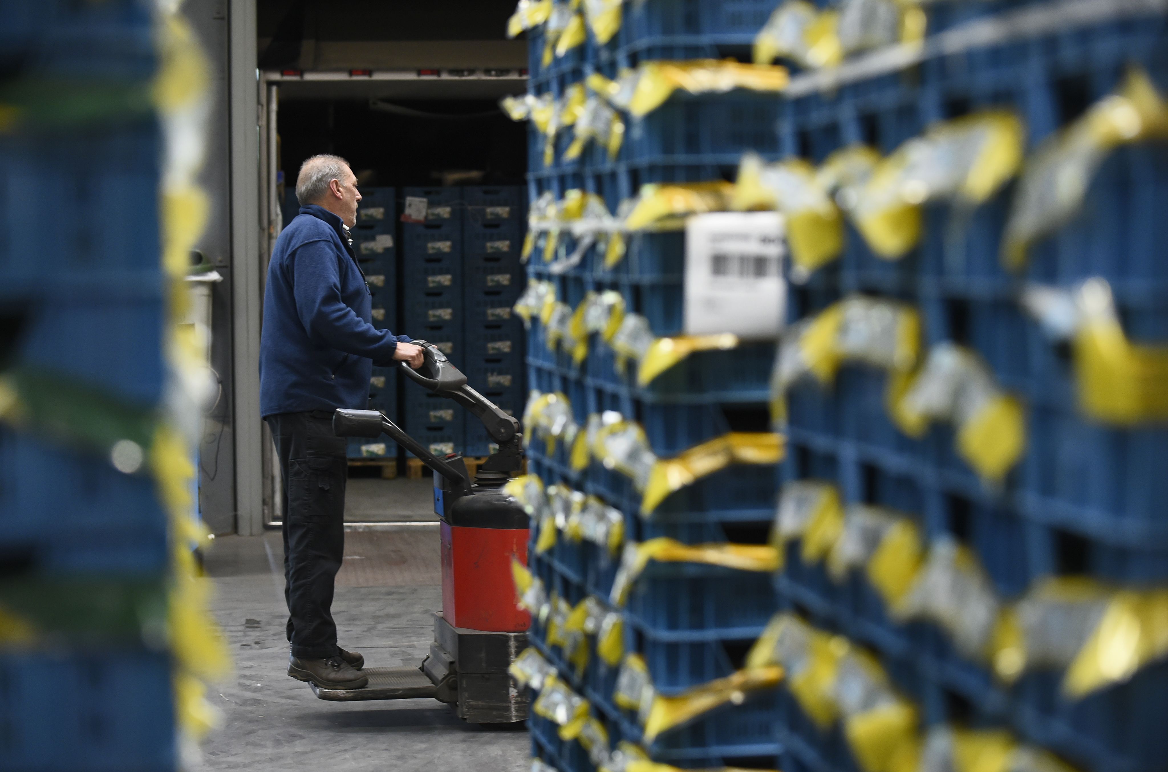 A worker transporting the fruits and vegetables with a forklift truck at the distribution area in the auction © European Union, 2017