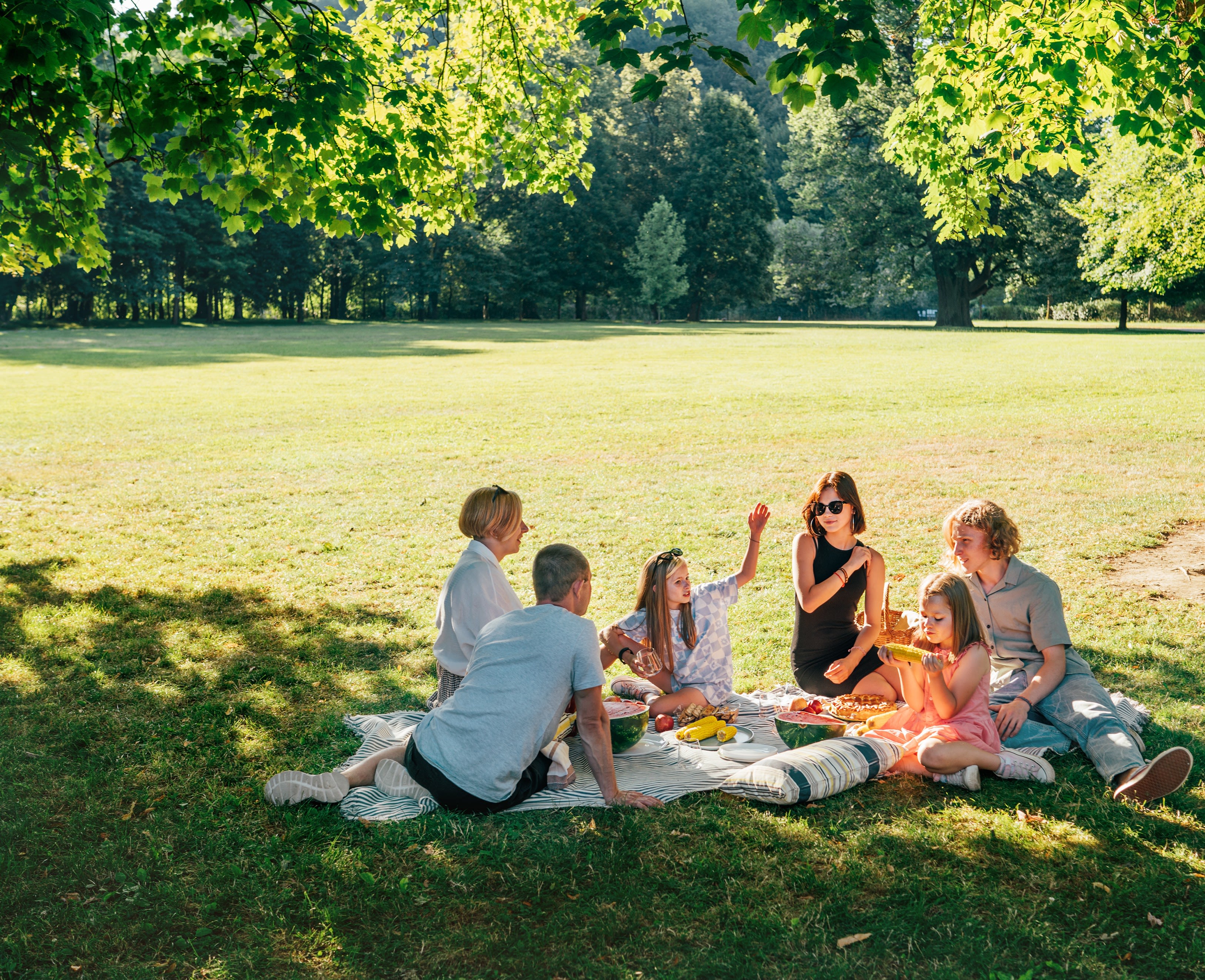 Family sitting in a park on a sunny day having a picknick - Copyright - Soloviova Liudmyla/ Adobe Stock