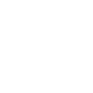 Data magnifier icon