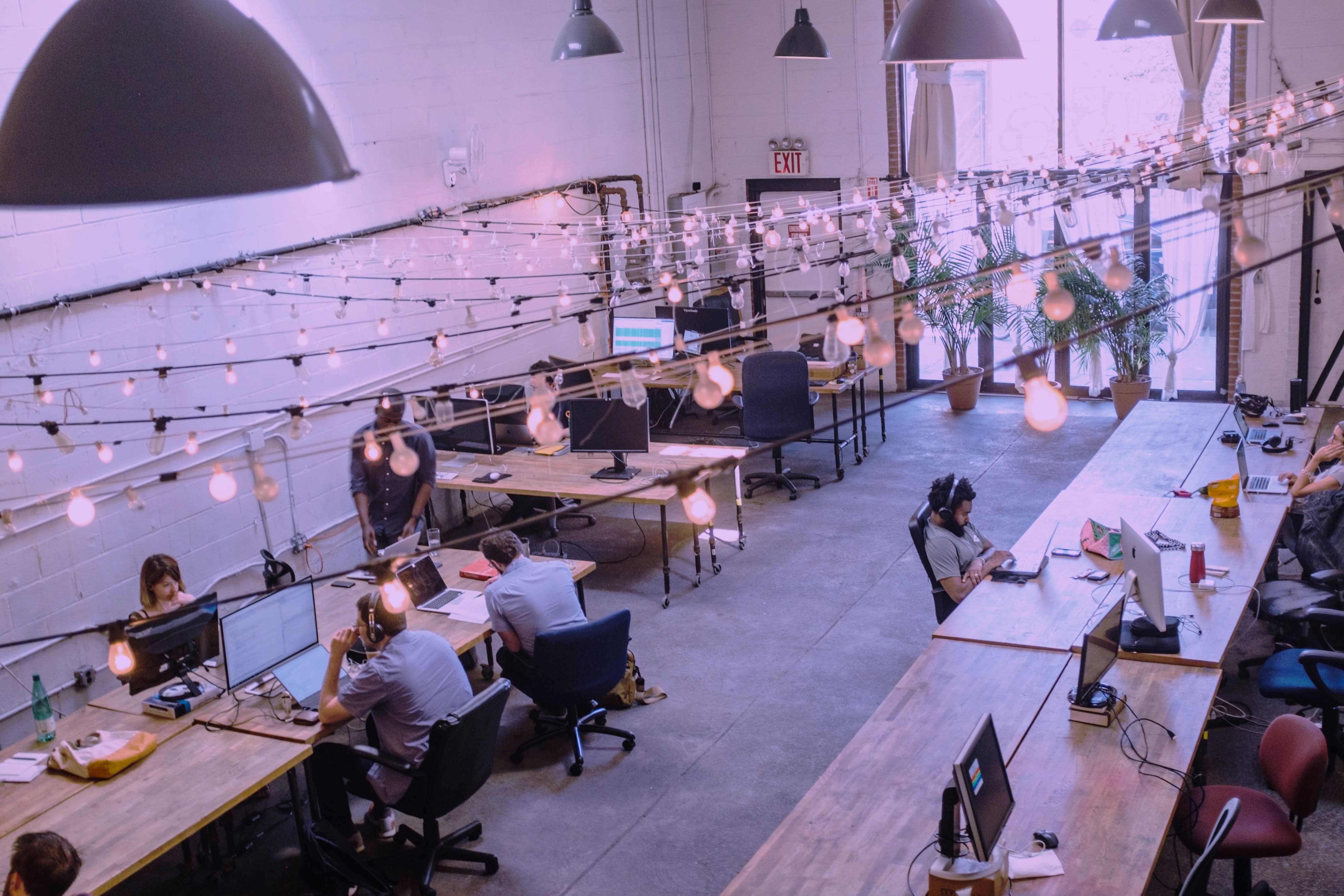 people sitting in front of computer monitors